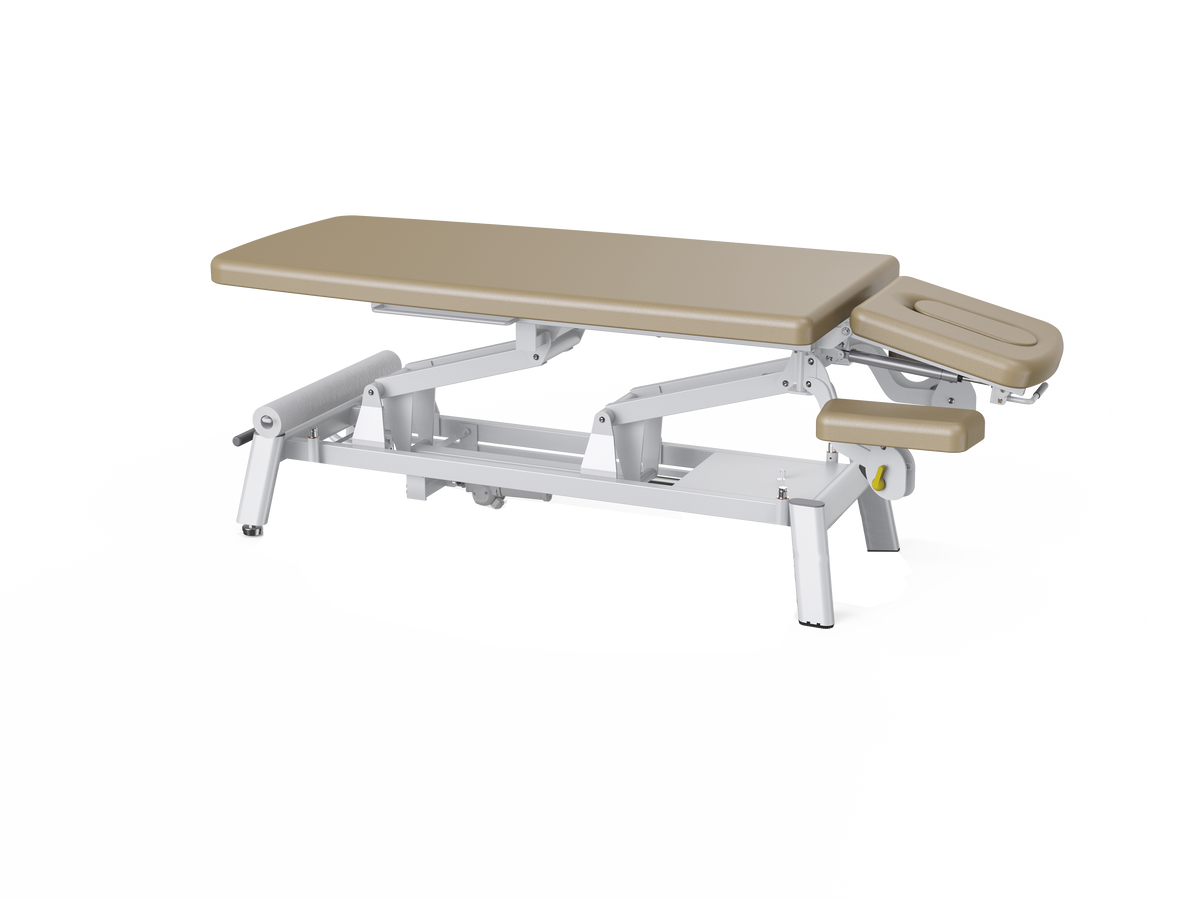 Vivinova Chiropractic Bed Echo-Basic ETB-AB000102