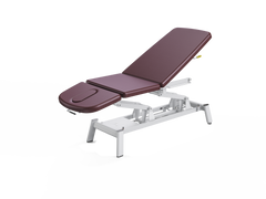 Vivinova Chiropractic Bed Echo-Basic ETC-AB000102