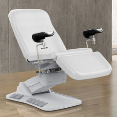 Silverfox 4 Motors Electric Beauty and Exam Chair 2246EBI - Greenlife - Examination Table